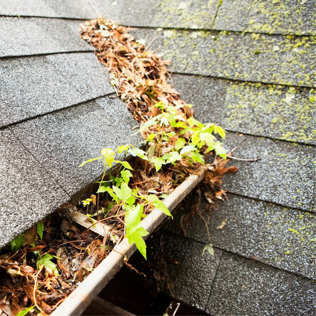Gutter Cleaning